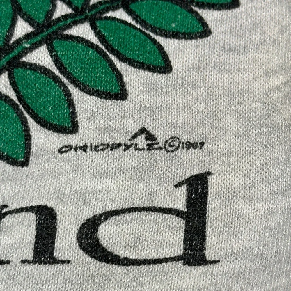 Vintage 1987 Salisbury Maryland Sweatshirt XL Gray My Town Originals Made in USA